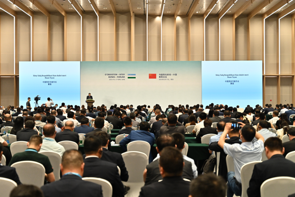 PA�콢��(�й���)����