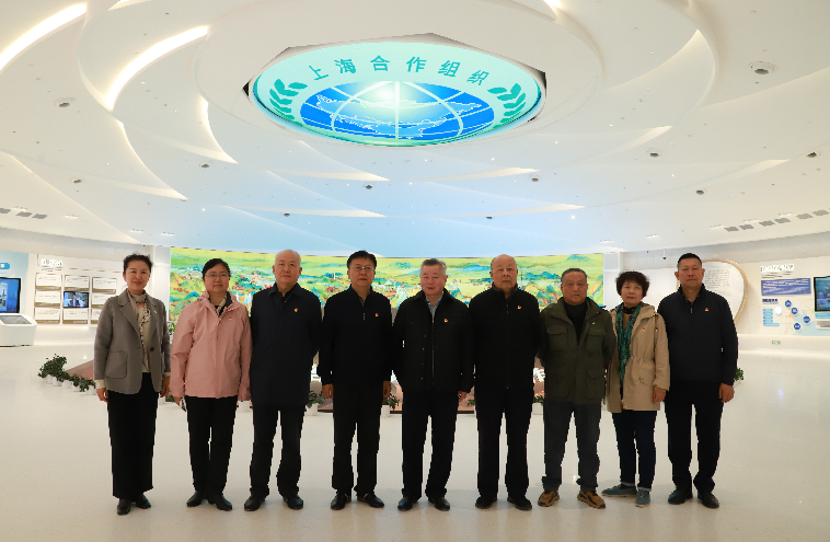 PA�콢��(�й���)����