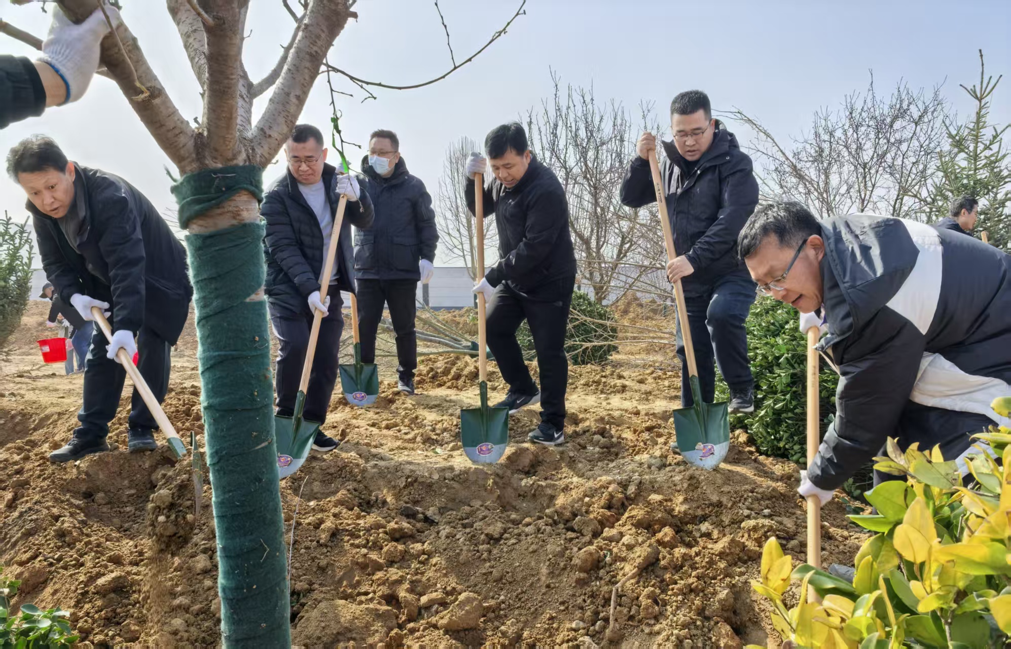 PA�콢��(�й���)����